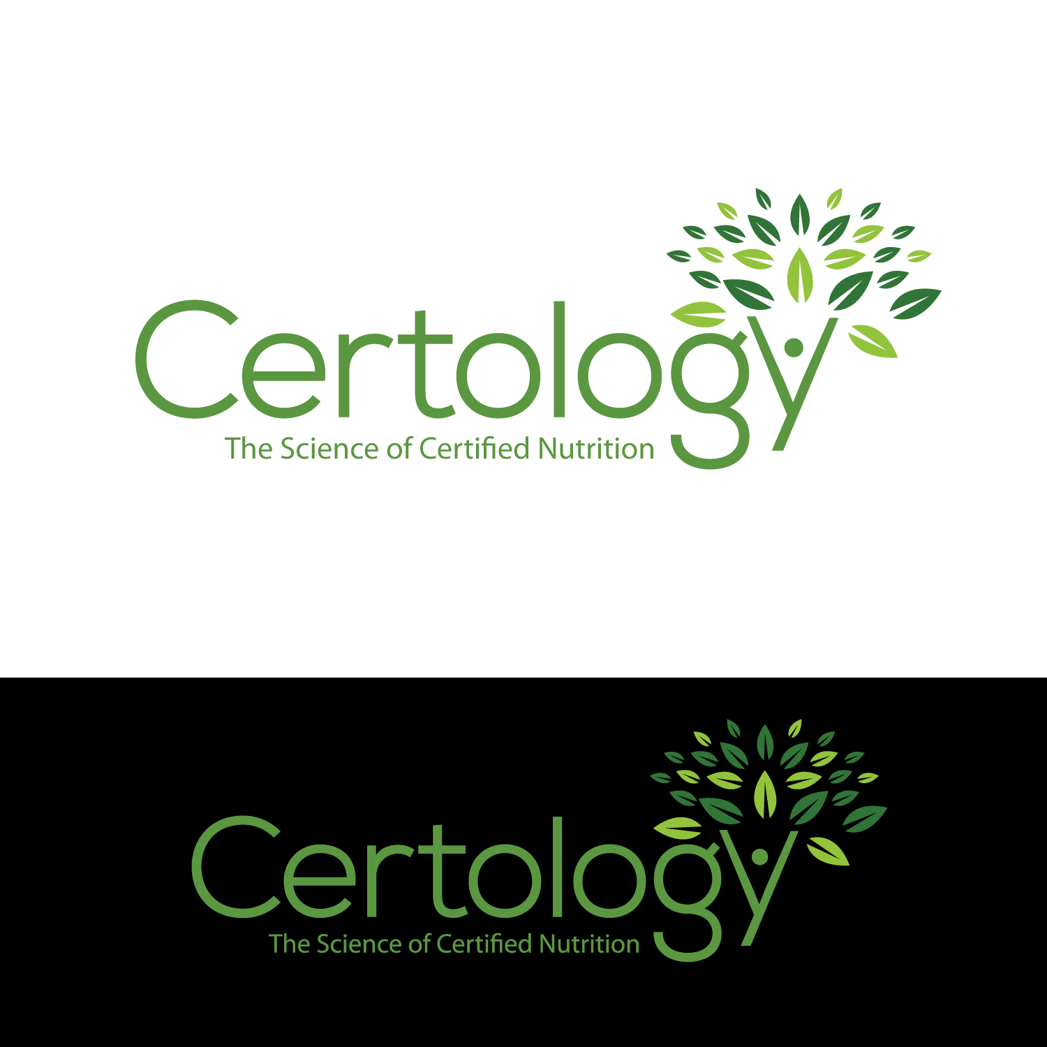 Logo Design by GODDREAMCREATION for this project | Design #35316482