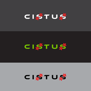 Logo Design by SkyKonnect
