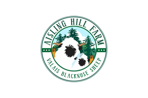 Logo Design by Hanzulla wahid