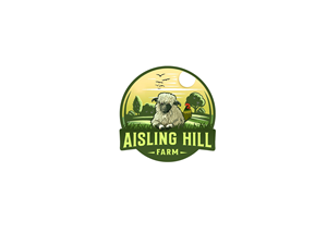 Logo Design by nouarbiti