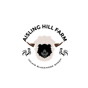 Logo Design by Raheel Dildar