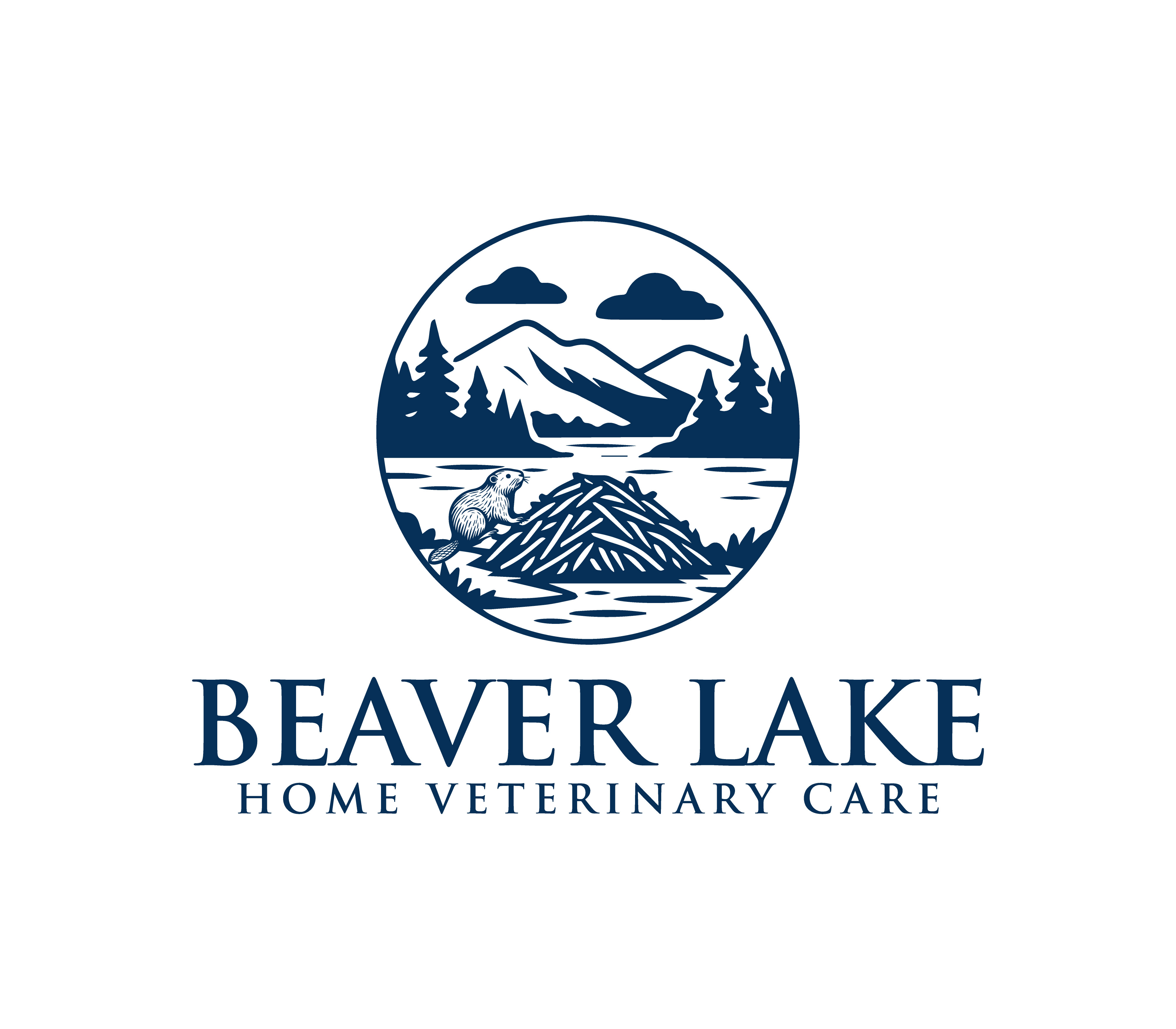 Logo Design by Nova_Create for this project | Design #35333093