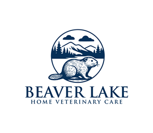 Logo Design by Nova_Create for this project | Design: #35333094