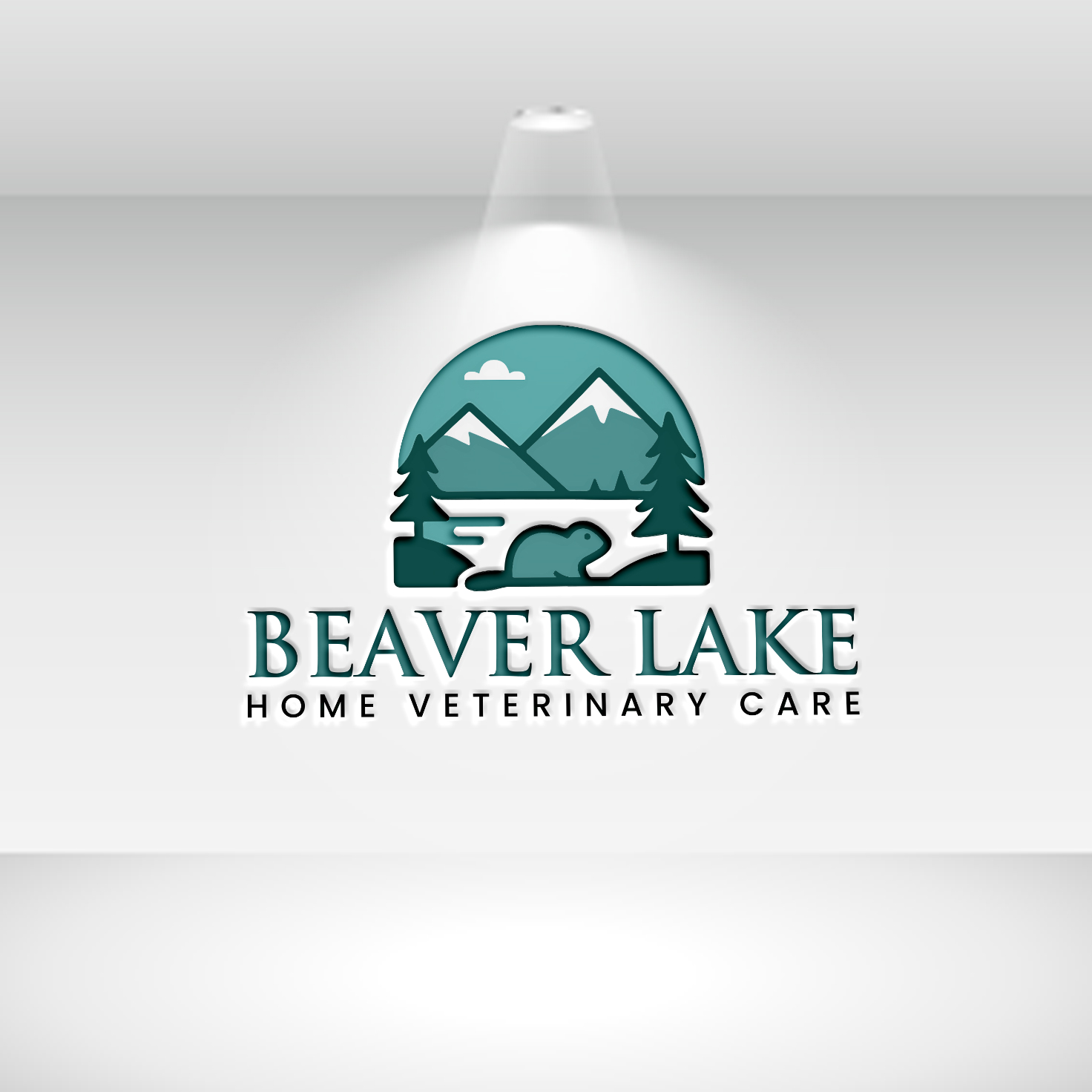 Logo Design by Pilot_DesignR™ for this project | Design #35333696