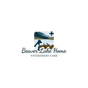 Logo Design by Logo Spider