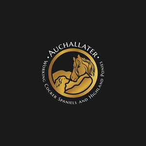Logo Design by Jhannel55