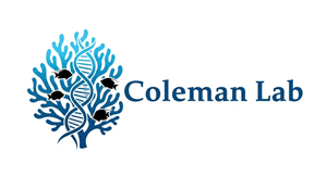 Logo Design by HSL Brain for this project | Design: #35353876