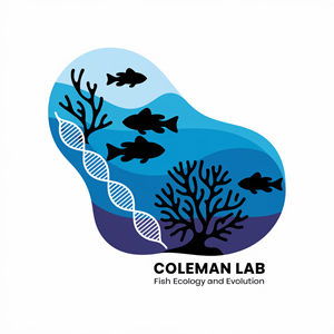 Logo Design by USIAD ANAS for this project | Design: #35340124