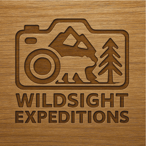 Logo Design by Teco Studio