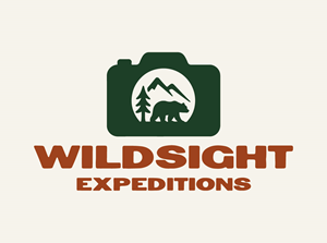 Logo Design by Kore Branding for this project | Design: #35343692