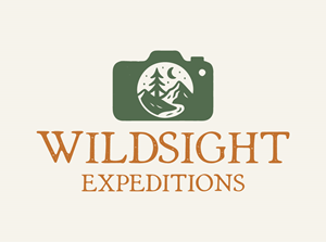 Logo Design by Kore Branding for this project | Design: #35343696