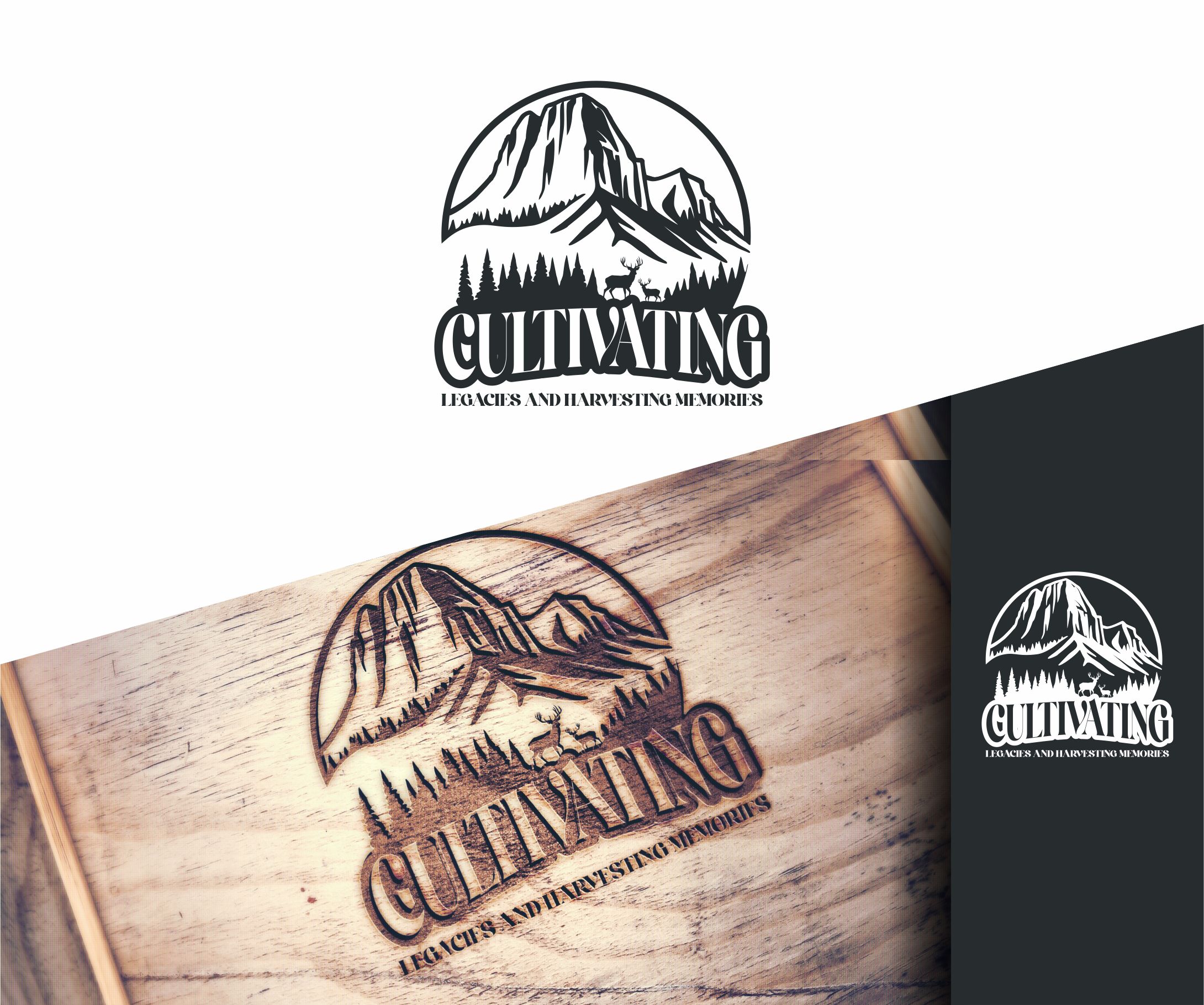 Diseño de Logo por alkaline para este proyecto | Diseño #35351297