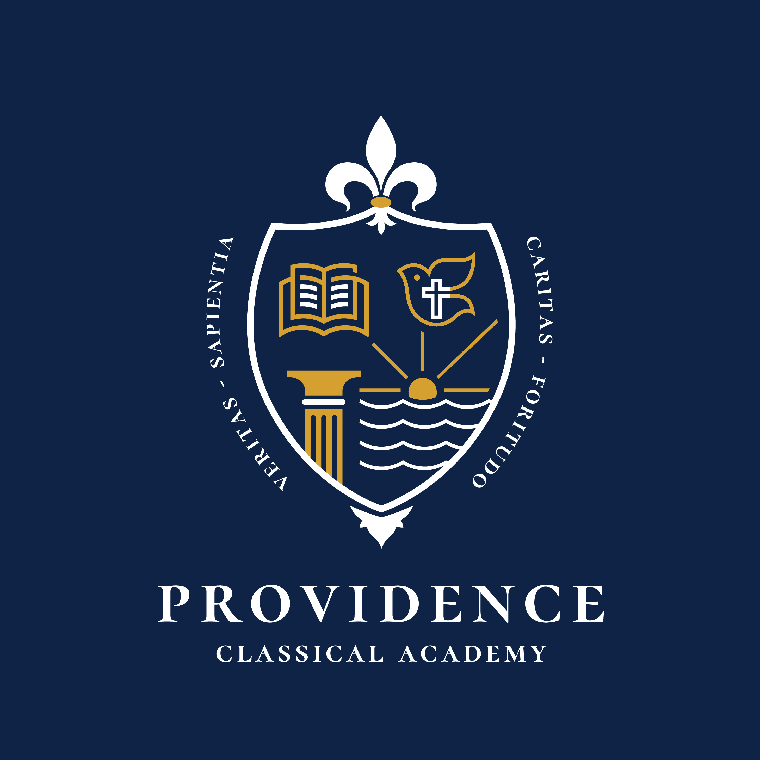 Logo Design by Nina-design for this project | Design #35347696