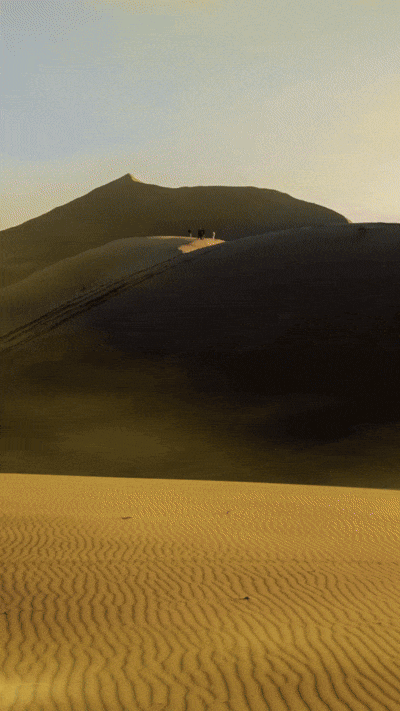 Graphic Design by @u9icorngraphix for this project | Design #35354646