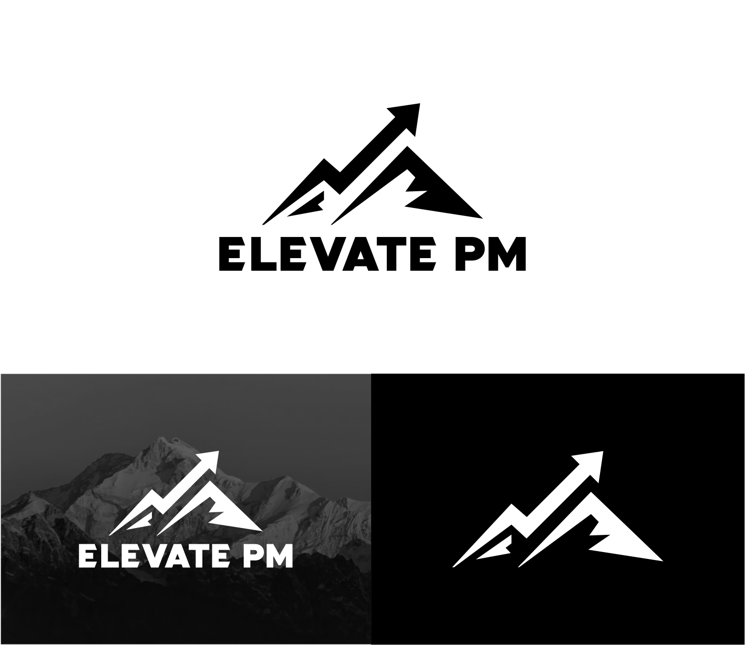 Logo Design by fatih 10 for Elevate PM GmbH | Design #35350434