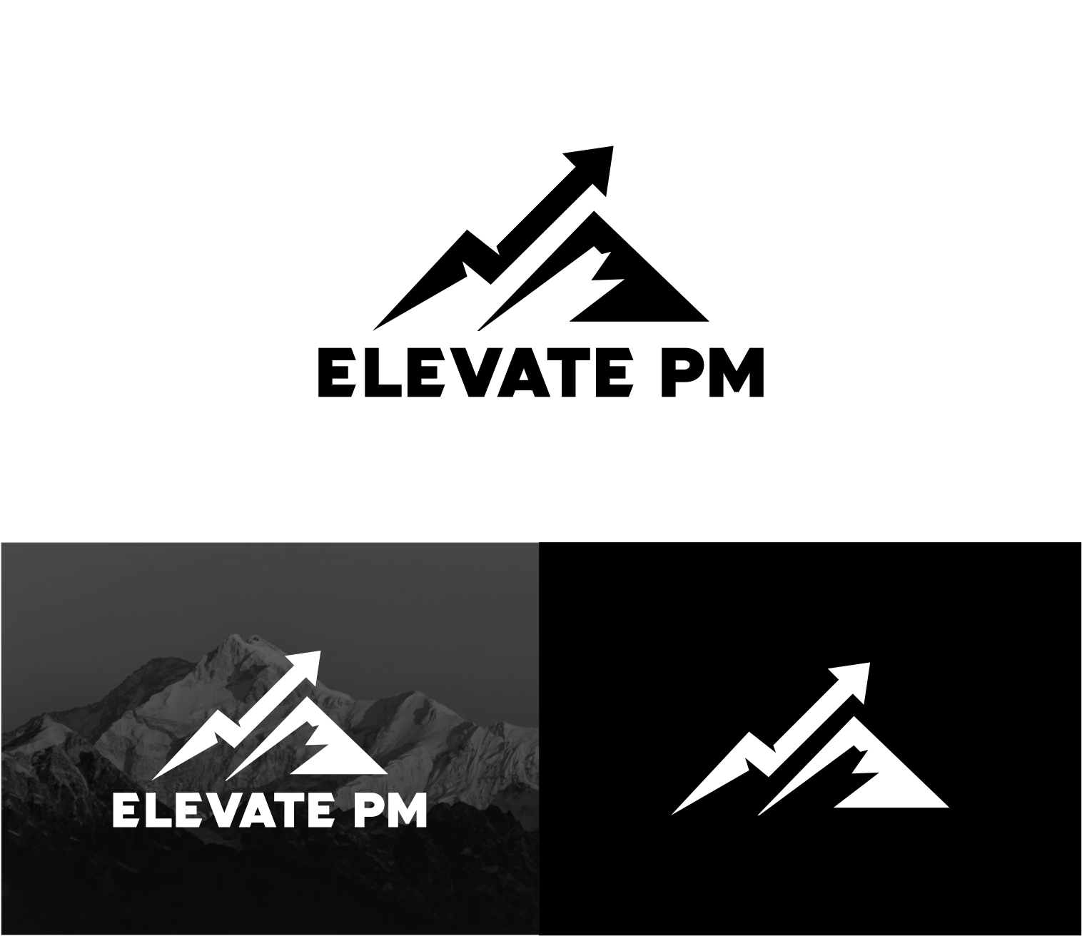 Logo Design by fatih 10 for Elevate PM GmbH | Design #35351848