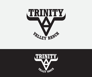 Logo Design by Ansh Design for this project | Design: #35351674