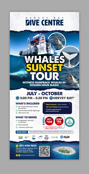 Whales at Sunset Tour