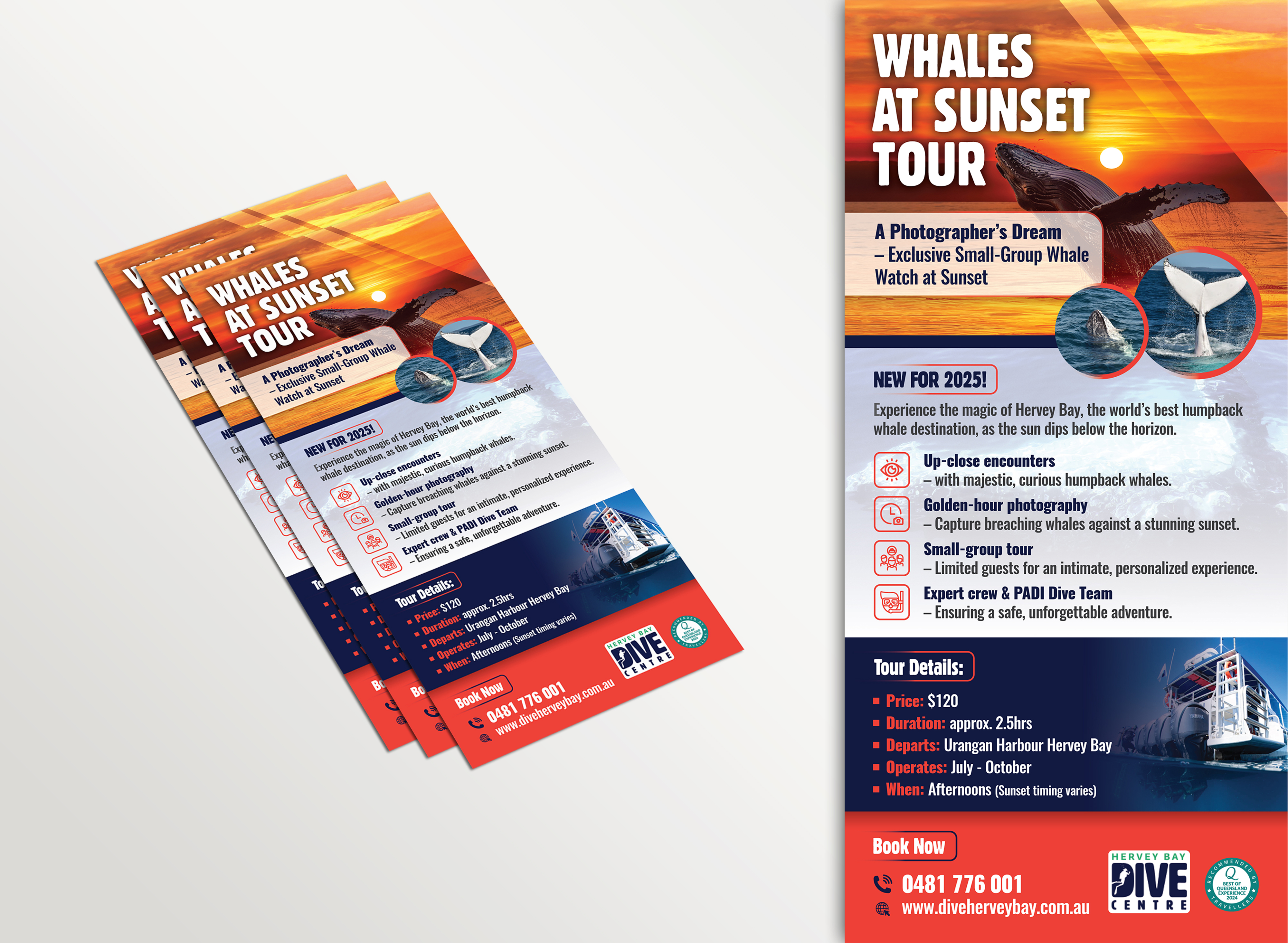 Flyer-Design von Impressive Designs für Hervey Bay Dive Centre | Design #35351794