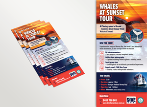 Diseño de Flyer por Impressive Designs para Hervey Bay Dive Centre | Diseño: #35351794