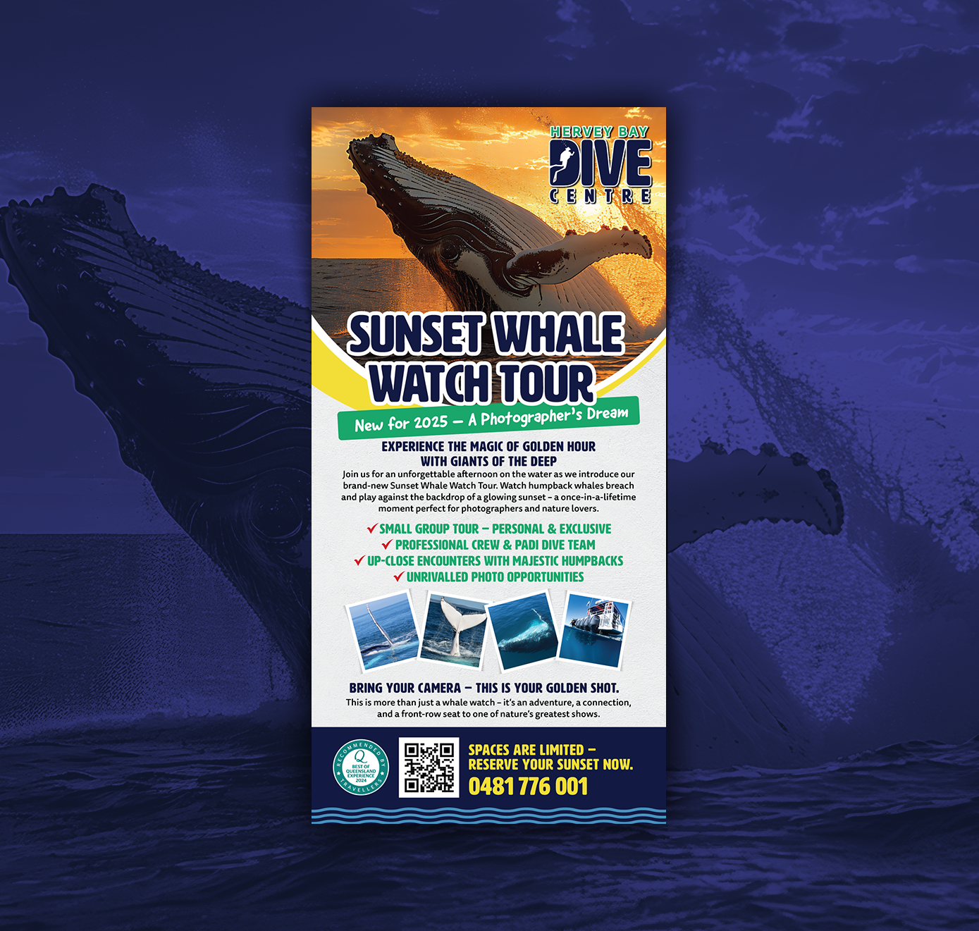 Flyer Design by fullm0on for Hervey Bay Dive Centre | Design #35350057