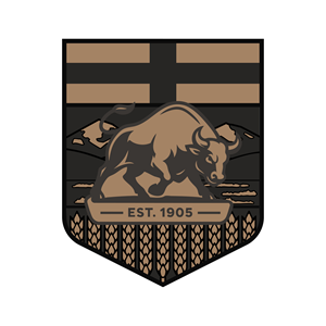 Logo Design by Max37