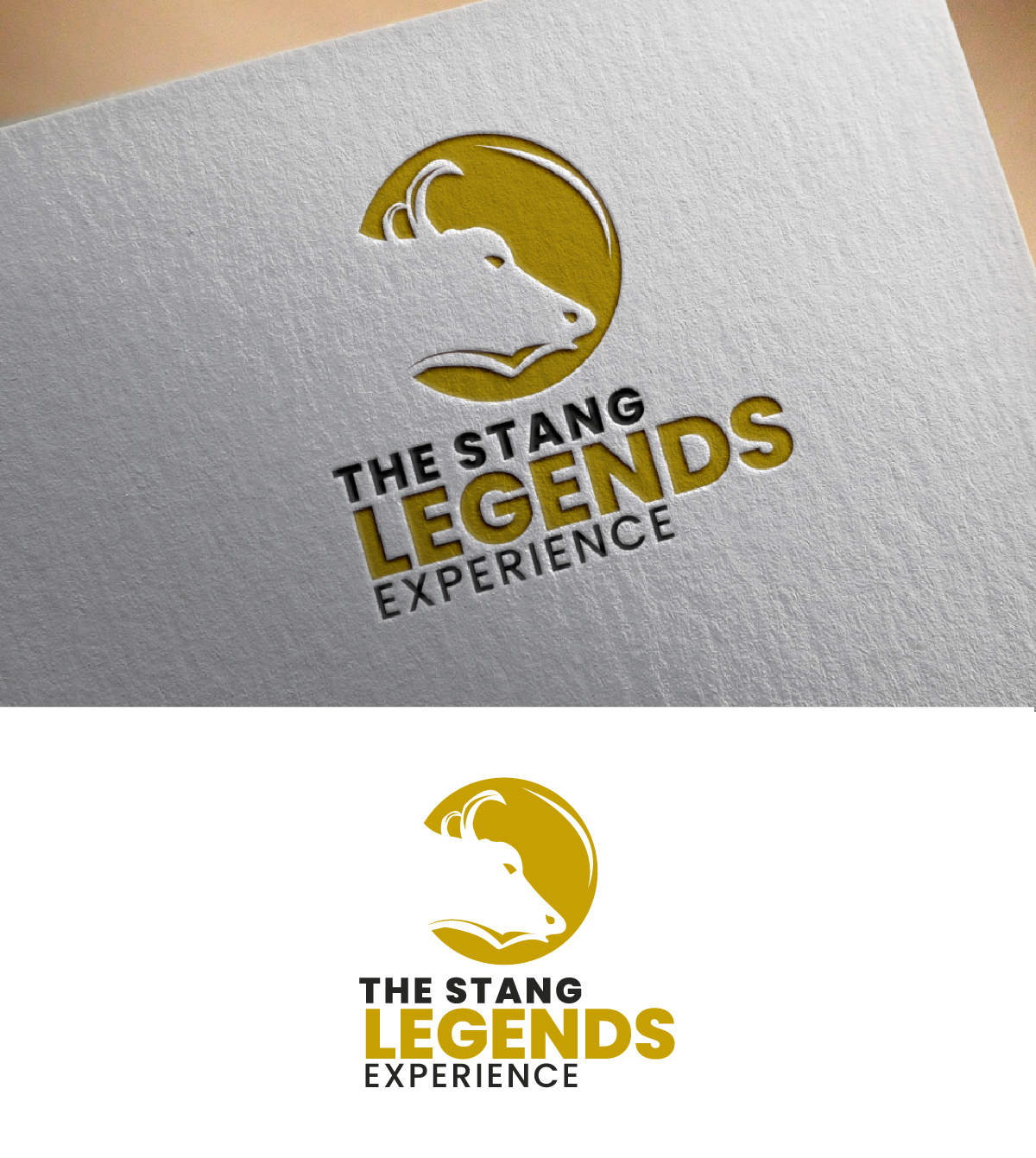Logo Design by fly  design for this project | Design #35366398