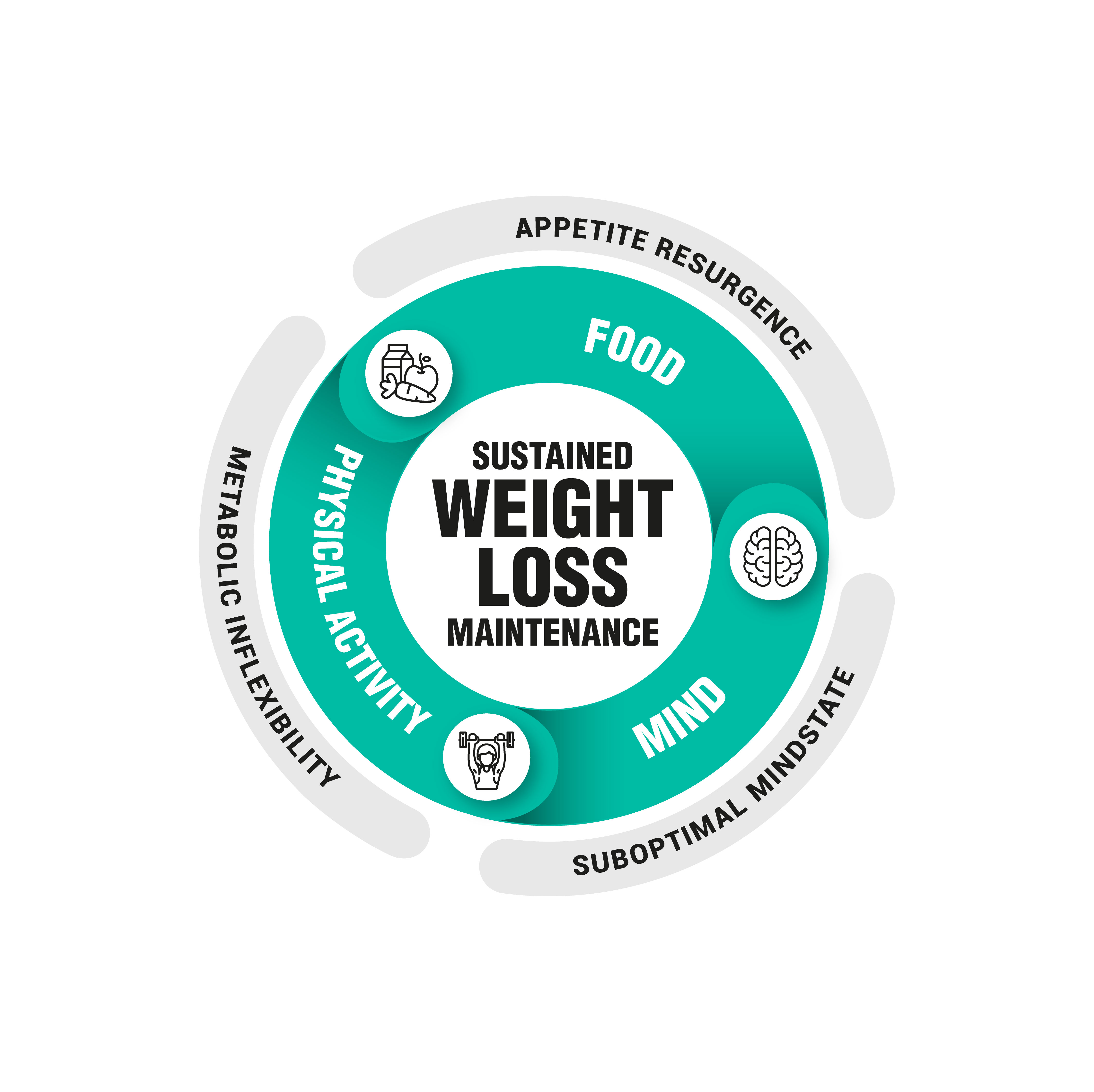 Graphic Design by Aksh Design Studio for this project | Design #35384087