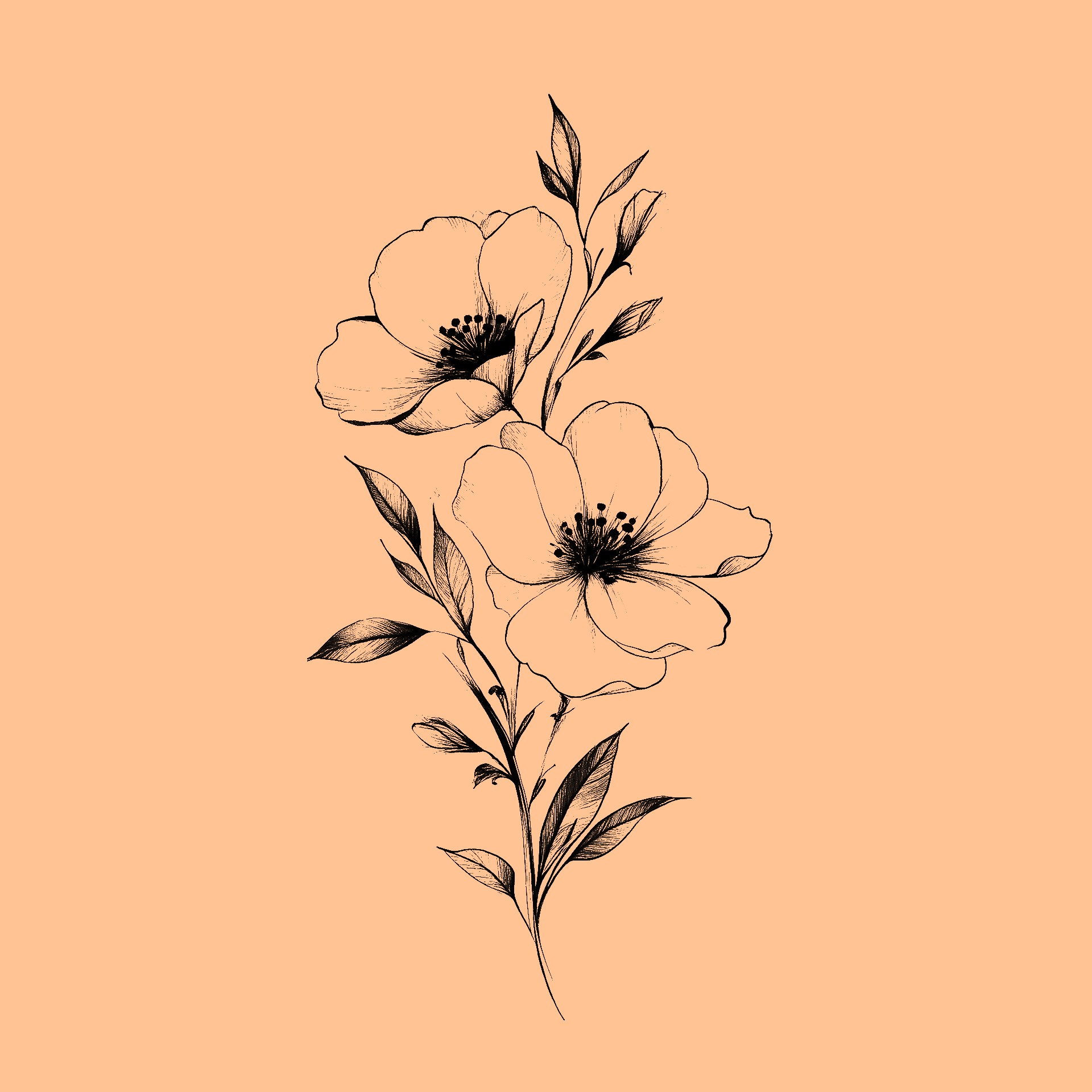 Graphic Design by Rifqi 7 for this project | Design #35422276