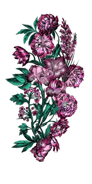 Design Graphique par MNM pour ce projet | Design #35416312