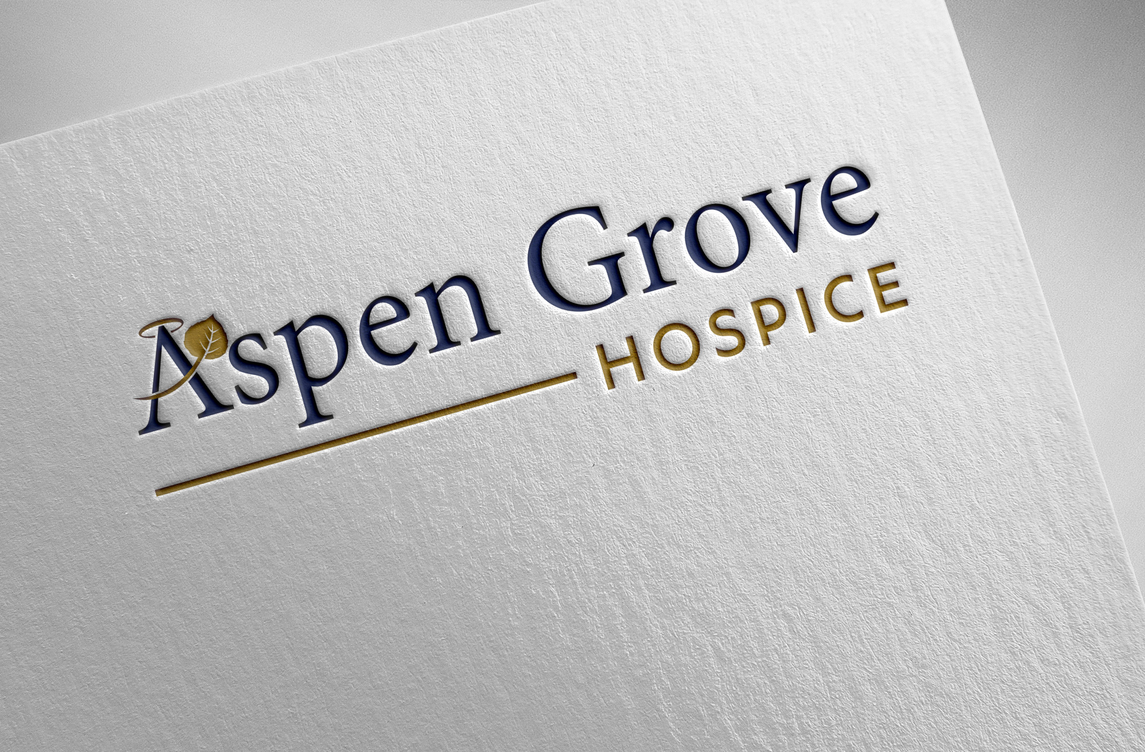 Logo Design by Pilot_DesignR™ for this project | Design #35372347