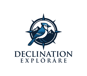 Logo Design by Nova_Create for this project | Design: #35375941
