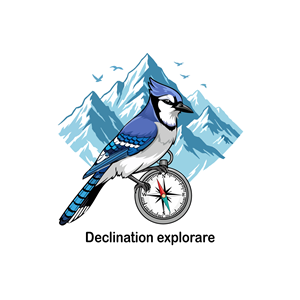 Logo Design by designs by Dylan