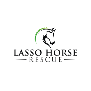Logo Design by HF STUDIO