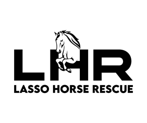 Logo Design by Artify360