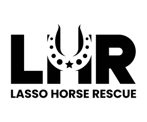 Logo Design by Artify360 for this project | Design: #35402363