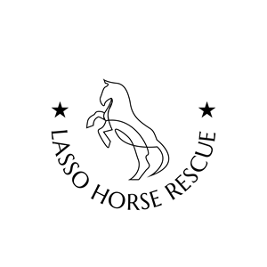 Diseño de Logo por bartolomeus para este proyecto | Diseño: #35385632