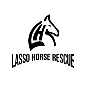 Diseño de Logo por bartolomeus para este proyecto | Diseño: #35401207