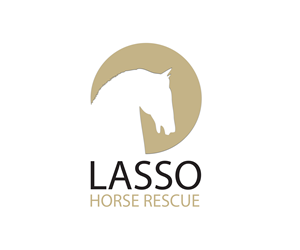 Logo Design by Halfull Media