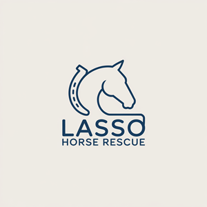 Logo Design by USIAD ANAS for this project | Design: #35411621