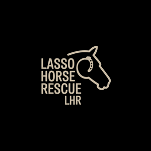 Logo Design by USIAD ANAS for this project | Design: #35411623