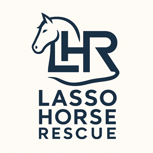 Logo Design by USIAD ANAS for this project | Design: #35411627