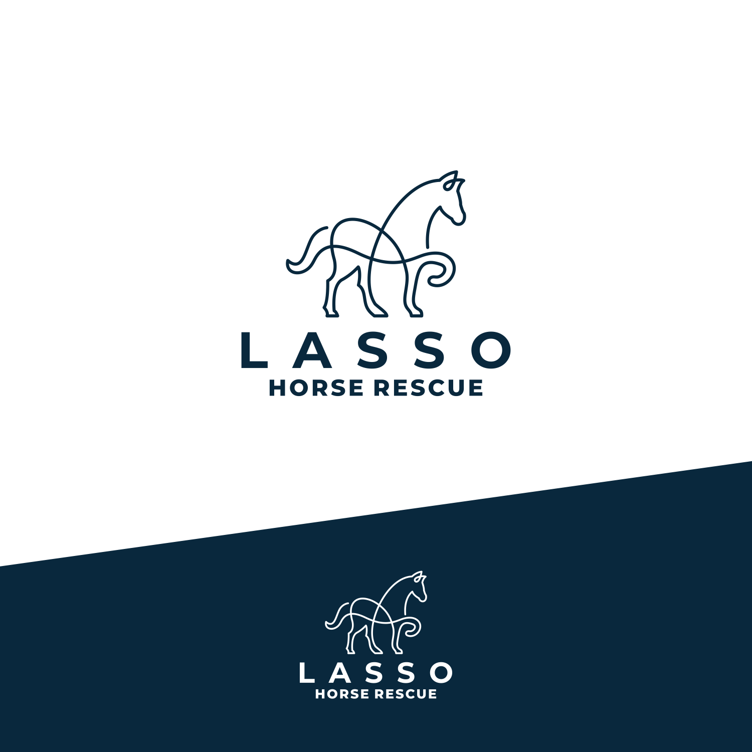 Logo-Design von Soran99d für dieses Projekt | Design #35396948