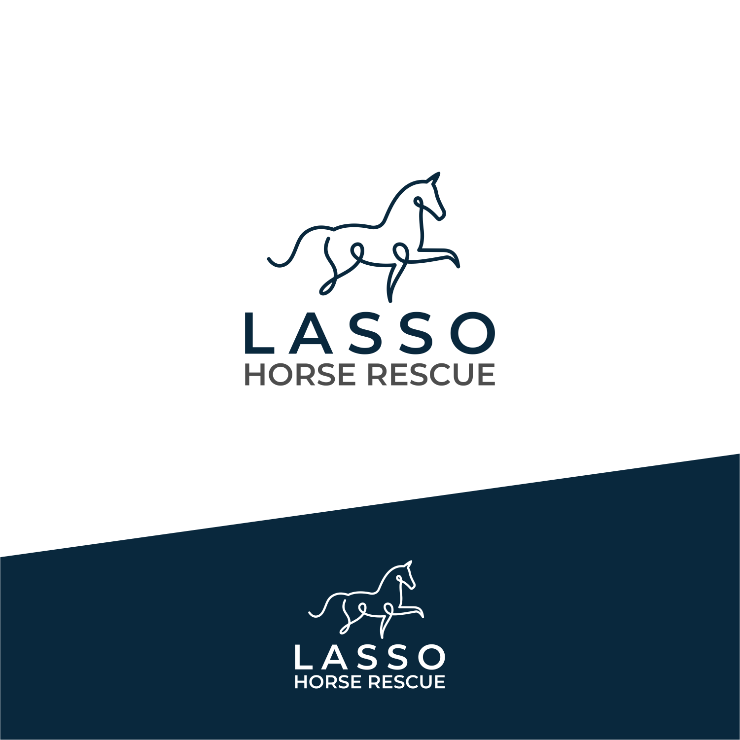 Logo-Design von Soran99d für dieses Projekt | Design #35403623