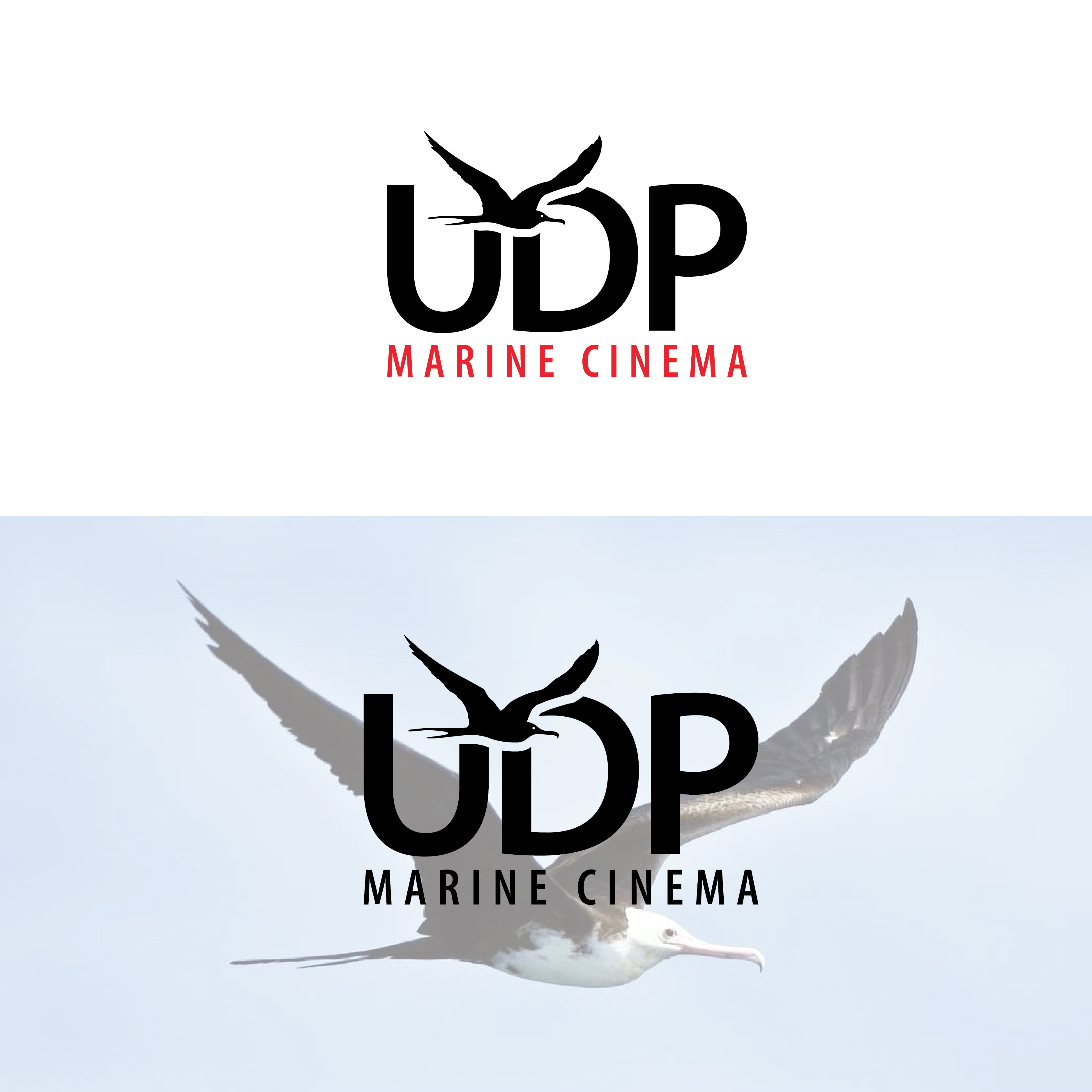 Logo Design by Designer Nayem for this project | Design #35406410