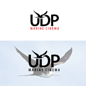 Logo Design by Designer Nayem for this project | Design: #35406410
