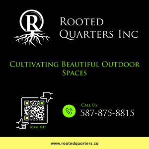 Graphic Design by harmi_199 for Treat Street Real Estate Inc. | Design: #35396598