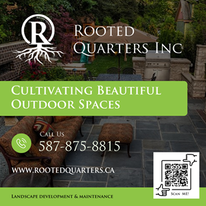 Graphic Design by harmi_199 for Treat Street Real Estate Inc. | Design: #35396601