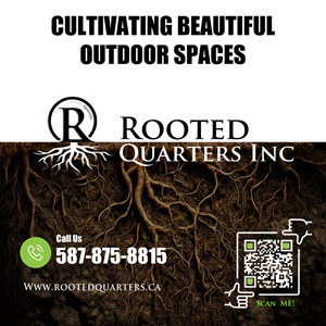 Graphic Design by harmi_199 for Treat Street Real Estate Inc. | Design: #35396717
