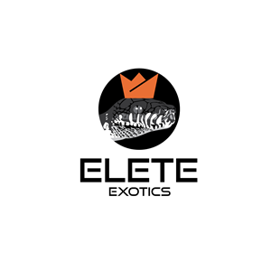Diseño de Logo por geni para este proyecto | Diseño #35417667